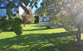 Anni's Waldblick